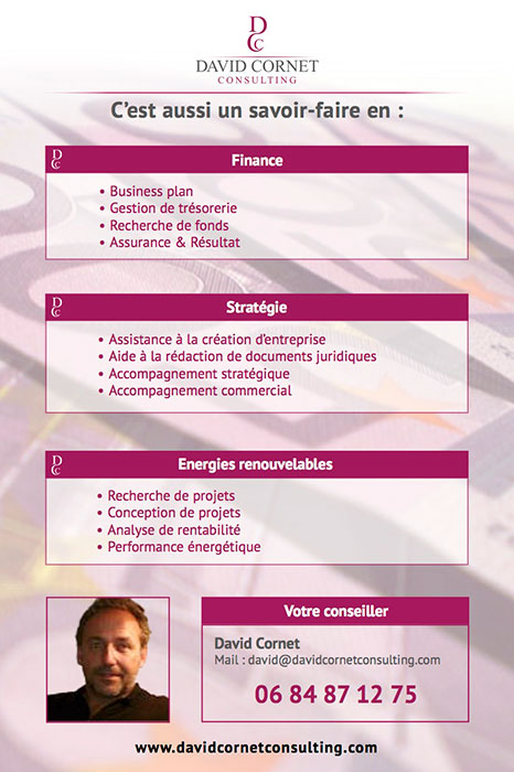 flyer David Cornet Consulting